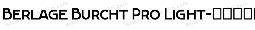 Berlage Burcht Pro Light字体转换